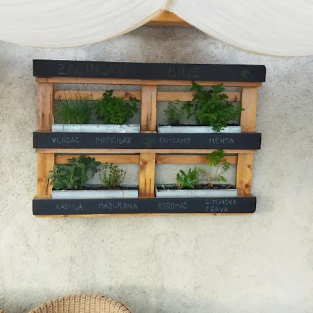 Apartment Ela With Private Jacuzzi Podgora (Split-Dalmatia)